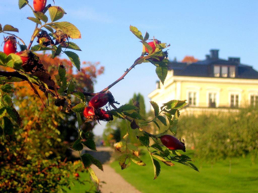 Faerna Herrgard & Spa Exterior foto